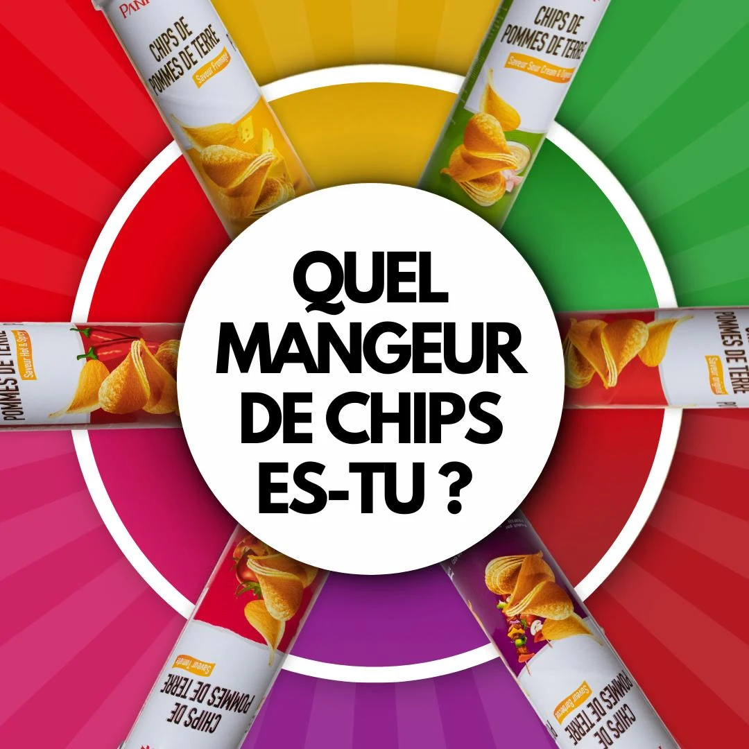 Roue colorée présentant différentes saveurs de chips Pan Pan