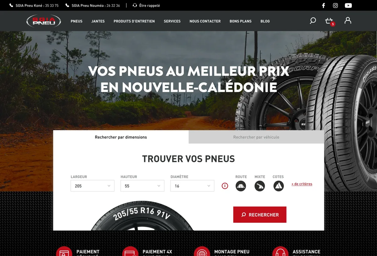 Formulaire SGIA de recherche de pneus par dimensions